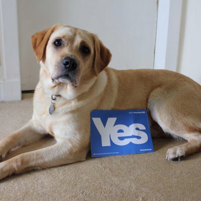 Profile Picture of Anne Scott (@annescott195) on Twitter