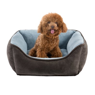 Profile Picture of Norma Jean Peterson (@BestLuxDogBeds5) on Twitter