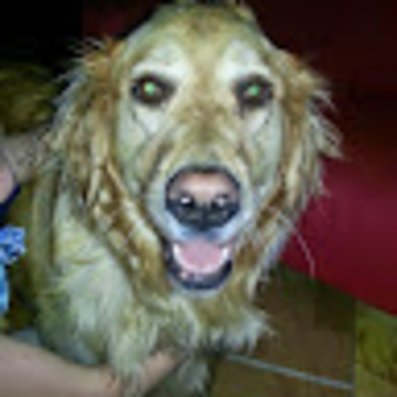 Profile Picture of Kristy Relf (@kristyrelf) on Poshmark