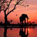 Profile Picture of Ashley Saltsman (@ashley24estelle) on Pinterest