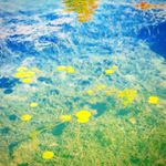 Profile Picture of Isaac Anderson (@anders_isaac99) on Instagram