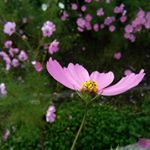 Profile Picture of elbert steve (@elbertsteve369) on Instagram