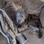 Profile Picture of Christopher Scott Dunckel (@chrisscott1011111) on Instagram