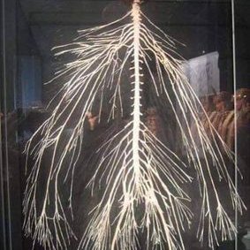 Profile Picture of KeithHofmann (@KeithHofmann3) on Twitter