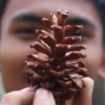 Profile Picture of Daniel Permana (@danielpermana26) on Instagram