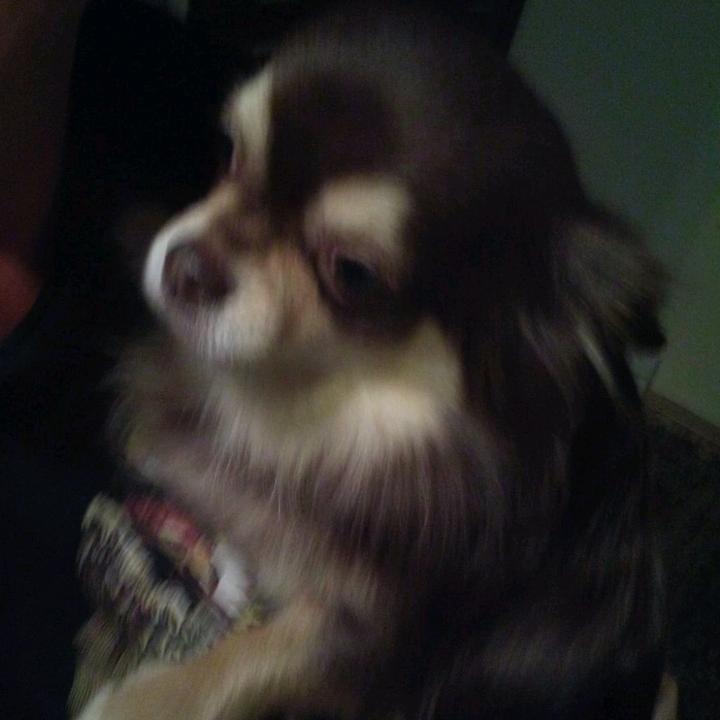 Profile Picture of Remy (@adam.rusin) on Tiktok