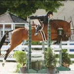 Profile Picture of Kimberly Guessford (@guessfordk) on Instagram