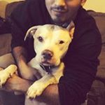 Profile Picture of Brandon Manalastas (@brandon89lee) on Instagram