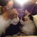 Profile Picture of Marilyn Grider (@gigi.gray.52) on Facebook