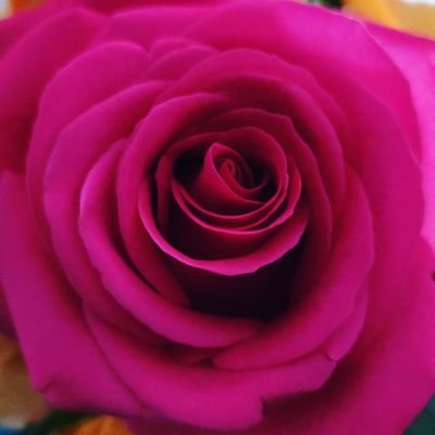 Profile Picture of Tamara Crutcher (@itsme_TamaraC) on Twitter