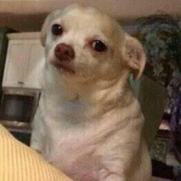 Profile Picture of Isabel Medrano (@isabxlm) on Poshmark