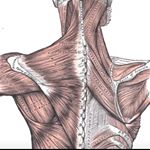 Profile Picture of Davide Signorelli (@david.salud) on Instagram