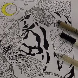 Profile Picture of Nicholas_Gianforti (@user1huw7y6hyc8) on Tiktok