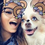 Profile Picture of Barley And Piper (@barley._.piper) on Instagram