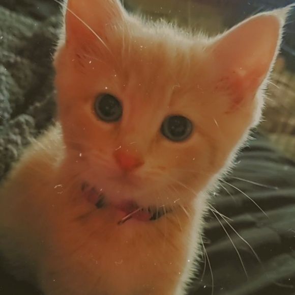 Profile Picture of Terralynn Schlueter (@terralynns) on Poshmark