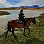 Gary Fisher - Instagram Profile Picture of Gary Fisher (@gary_fisher_dcartist) on Instagram