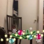 Profile Picture of Jonathan Candelaria (@jonathan.candelaria.948) on Instagram