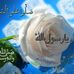 Profile Picture of Adeel Chaudhary (@adeel.chaudhary.7503) on Facebook