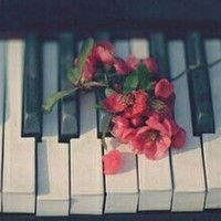 Profile Picture of Clarissa Peterson (@clarissa-peterson-6) on Quora