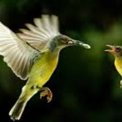 Shane N.llLilly - Twitter Profile Picture of Shane N.llLilly (@Shane_llLilly) on Twitter