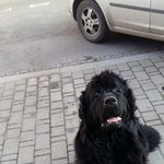 Profile Picture of Tomasz Jaskowski (@jaskowskit) on Instagram