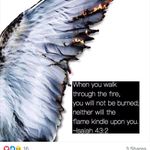 Mason Swann - Instagram Profile Picture of Mason Swann (@mason_swann_life_hacks) on Instagram