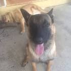 Profile Picture of   Johanna (@johanna.lepez)... (@johanna.lepez) on Tiktok