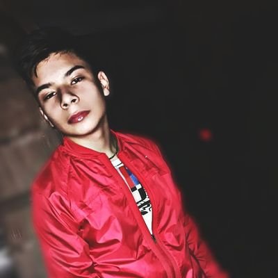 Profile Picture of A. Steven Lemus Carlos (@AStevenLemusCa1) on Twitter