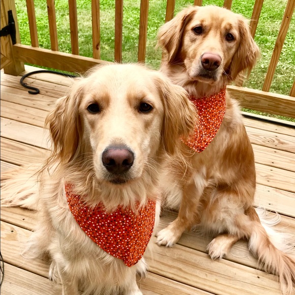 Profile Picture of Lindsay Carignan (@lindsaylu16) on Poshmark