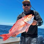 Profile Picture of Andrew Canales (@andrew_1145) on Instagram