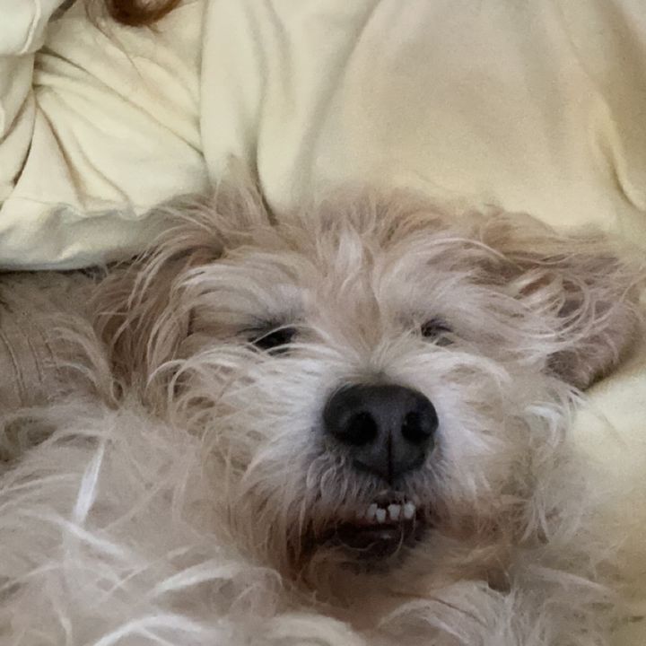 Profile Picture of Caitlin Sammons (@caitlinsammons) on Tiktok