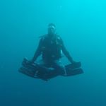 Profile Picture of Noah Pfordresher (@gringo_buceador) on Instagram