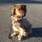 Profile Picture of Peter Reist (@peter.reist.1) on Facebook