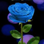 Profile Picture of peer mohammed (@peer5143) on Instagram