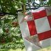 Profile Picture of Erin @ Why Not Sew? (@whynotsewquilts) on Pinterest