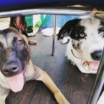 Profile Picture of Mario Asenjo (@mariio_aseenjo) on Instagram