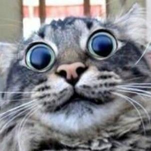 Profile Picture of Jonathan Fly Guy (@Jontheflyguy) on Twitter