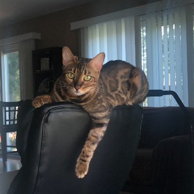 Profile Picture of Brian Seger (@Johnnybeger) on Twitter