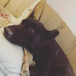 Profile Picture of Mason Lamonte (@masonlamonte) on Instagram