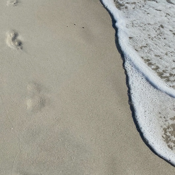 Stacey Lazareanu - Poshmark Profile Picture of Stacey Lazareanu (@sstaceyl) on Poshmark