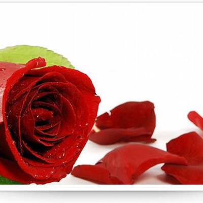 Profile Picture of Vicky Dawn McCray (@McCrayVicky) on Twitter