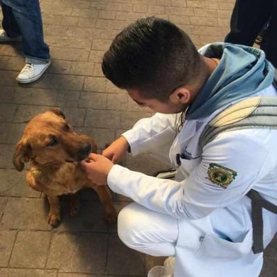 Profile Picture of Jose Secundino (@dimepepe0) on Twitter