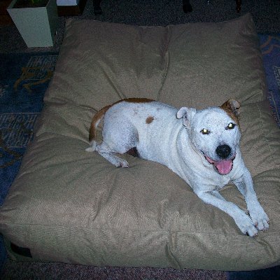 Profile Picture of Vicki Mack (@VickiMa51707754) on Twitter