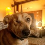 Profile Picture of Bruce Hilburn (@your.moms.boyfriend.bruce) on Instagram