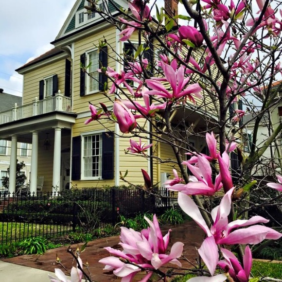 Profile Picture of Claudia Tomas (@cjtomas) on Poshmark