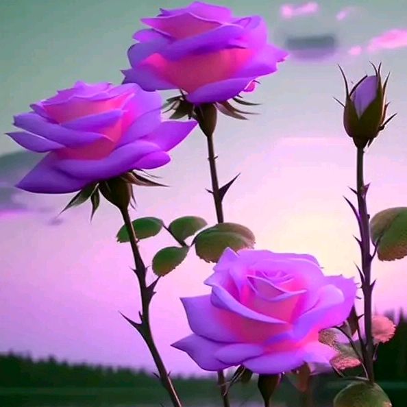 Profile Picture of markrel (@markrel6793) on Tiktok