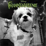 Lauri Robinson- Hammer - Instagram Profile Picture of Lauri Robinson- Hammer (@hammershollow) on Instagram