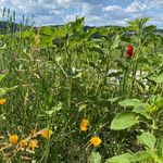 Profile Picture of Astrid Stadler (@astrid.stadler01) on Instagram