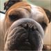 Profile Picture of Lisa Plowman Havens (@lisa.plowmanhavens) on Facebook