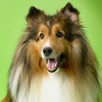 Profile Picture of Serenity Bella (@Serenity-Bella) on Facebook